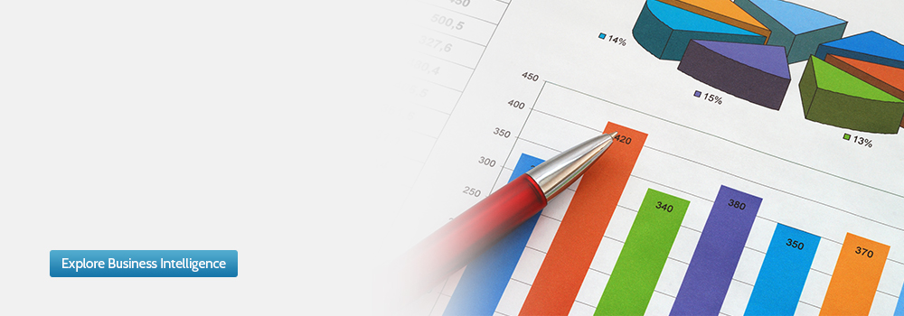 Business Intelligence Solutions